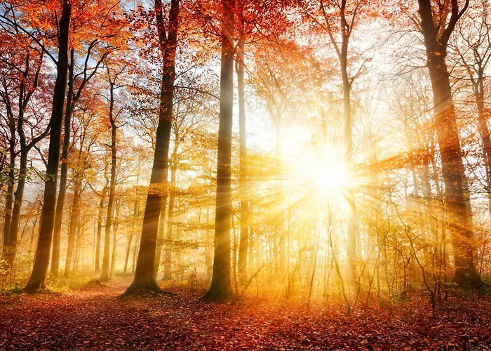 Boshuis Bubbels Wellness With Private Hottub And Sauna - Super House With Huge Garden And Private Parking Space - Veluwe