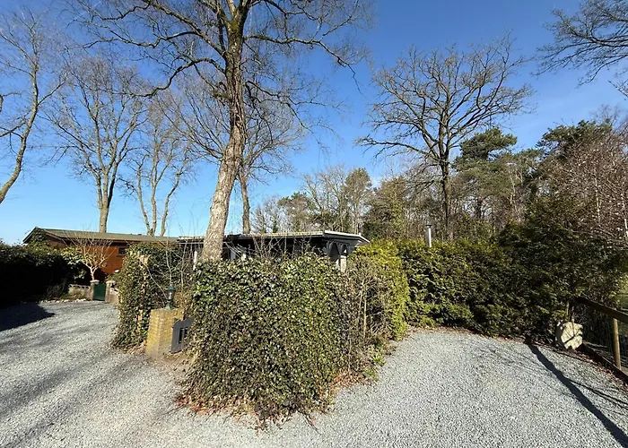 Boshuis Bubbels Wellness With Private Hottub And Sauna - Super House With Huge Garden And Private Parking Space - Veluwe *