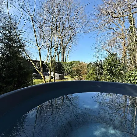 Boshuis Bubbels Wellness With Private Hottub And Sauna - Super House With Huge Garden And Private Parking Space - Veluwe 公寓 福尔特赫伊曾