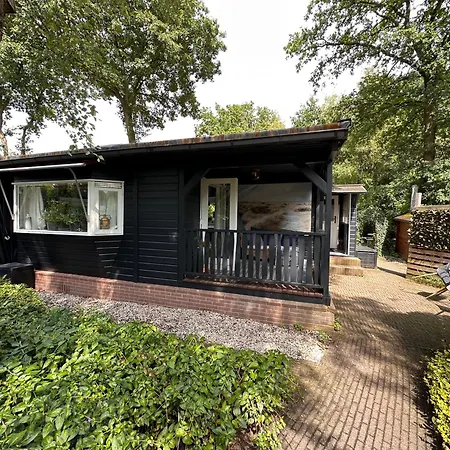 Boshuis Bubbels Wellness With Private Hottub And Sauna - Super House With Huge Garden And Private Parking Space - Veluwe 福尔特赫伊曾