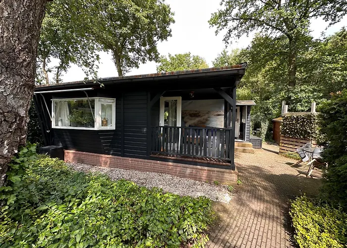 Boshuis Bubbels Wellness With Private Hottub And Sauna - Super House With Huge Garden And Private Parking Space - Veluwe Voorthuizen